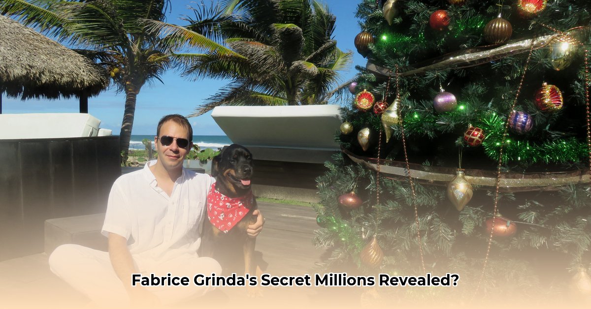 fabrice-grinda-net-worth